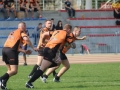 miedziowi wataha 084