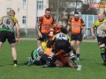 miedziowi wataha 092