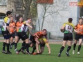 miedziowi wataha 096