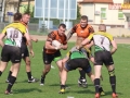 miedziowi wataha 104