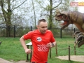 95 parkrun 11