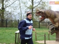 95 parkrun 12