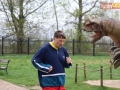 95 parkrun 19