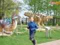 96 parkrun 12