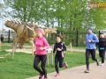 96 parkrun 14