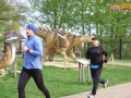 96 parkrun 16