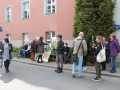 Pikeita Urząd Miejski Lubin (3)