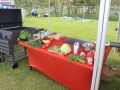 grillparty Lubinpex (19)