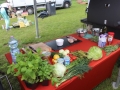 grillparty Lubinpex (33)