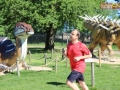 102 parkrun 017