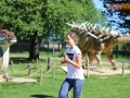 102 parkrun 026