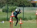 powiatowe strazackie gmina lubin 088
