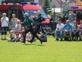 powiatowe strazackie gmina lubin 102