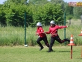 powiatowe strazackie gmina lubin 115
