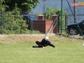 powiatowe strazackie gmina lubin 155