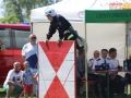 powiatowe strazackie gmina lubin 168