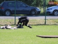 powiatowe strazackie gmina lubin 218