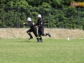 powiatowe strazackie gmina lubin 223