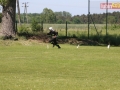 powiatowe strazackie gmina lubin 246
