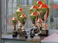 KGHM Cup 2017 (10)