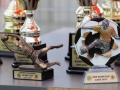 KGHM Cup 2017 (12)