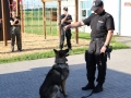 krzeczyn_m_750_052