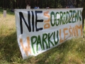 Park Leśny happening czerwiec 2017 (1)