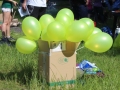 Park Leśny happening czerwiec 2017 (24)