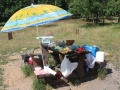 Park Leśny happening czerwiec 2017 (29)