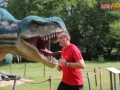 107 parkrun 033