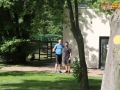 107 parkrun 080