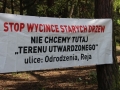 sprzątanie parku (6)