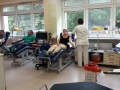cud nad Wisłą HDK Serce Górnika (5)