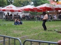 zamczysko 142
