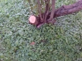 20170817_174627