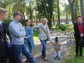 Wycięte drzewa przy Kopernika Lubin (9)