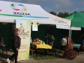 święto młodzieży Polkowice (12)