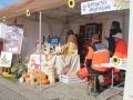 święto młodzieży Polkowice (14)