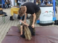 święto młodzieży Polkowice (26)