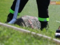 III bieg rugbysty 048