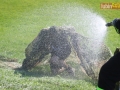 III bieg rugbysty 052