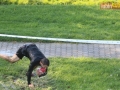 III bieg rugbysty 056