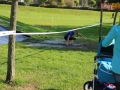 III bieg rugbysty 239