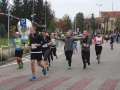 Bieg Barborkowy 2017 (216)