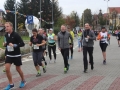 Bieg Barborkowy 2017 (217)