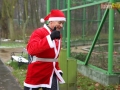 129 mikolajkowy parkrun 068