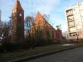Reja wycinka drzew (3)