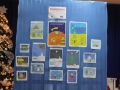 konkurs trzebnice MCZ (6)
