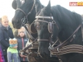 orszak 2017 020