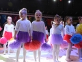 galeria cuprum arena wośp 2018 (30)